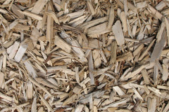 biomass boilers Cardew