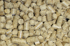 Cardew biomass boiler costs